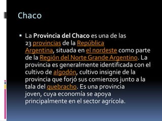 Chaco

 La Provincia del Chaco es una de las
  23 provincias de la República
  Argentina, situada en el nordeste como parte
  de la Región del Norte Grande Argentino. La
  provincia es generalmente identificada con el
  cultivo de algodón, cultivo insignie de la
  provincia que forjó sus comienzos junto a la
  tala del quebracho. Es una provincia
  joven, cuya economía se apoya
  principalmente en el sector agrícola.
 