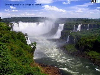 Chutes Iguazu – La Gorge du diable. 