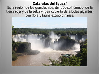 Cataratas del Iguazú Es la región de los grandes ríos, del trópico húmedo, de la tierra roja y de la selva virgen cubierta de árboles gigantes, con flora y fauna extraordinarias.