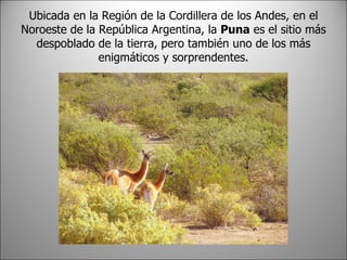 Ubicada en la Región de la Cordillera de los Andes, en el Noroeste de la República Argentina, la Puna es el sitio más despoblado de la tierra, pero también uno de los más enigmáticos y sorprendentes.