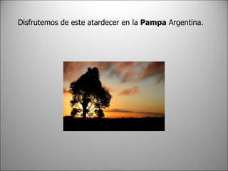 Disfrutemos de este atardecer en la Pampa Argentina.