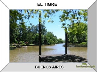 BUENOS AIRES EL TIGRE www. laboutiquedelpowerpoint. com 