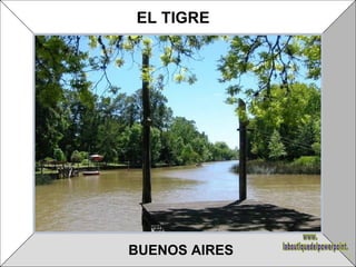 BUENOS AIRES EL TIGRE www. laboutiquedelpowerpoint. com 