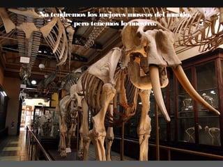 No tendremos los mejores museos del mundo,
pero tenemos lo nuestro.

 