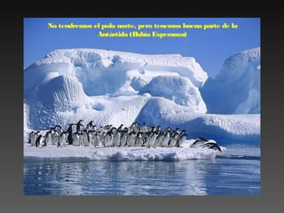 No tendremos el polo norte, pero tenemos buena parte de la
Antártida (Bahía Esperanza)

 