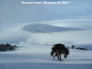 Tenemos hasta "Desiertos de Nieve"

 