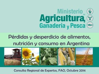 Pérdidas y desperdicio de alimentos, nutrición y consumo en Argentina 
Consulta Regional de Expertos, FAO, Octubre 2014  