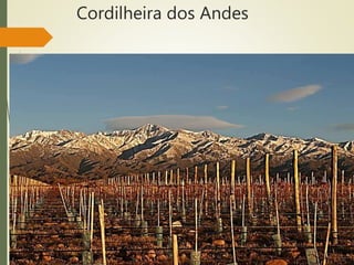 Cordilheira dos Andes
 