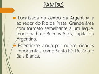 PAMPAS
 Localizada no centro da Argentina e
ao redor do Rio da Prata. Grande área
com formato semelhante a um leque,
tendo na base Buenos Aires, capital da
Argentina.
 Estende-se ainda por outras cidades
importantes, como Santa Fé, Rosário e
Baía Blanca.
 