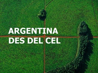 ARGENTINA  DES DEL CEL 