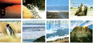 © www.museodelaexpo92.com
 