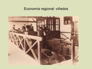 Economía regional: viñedos 
