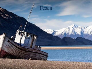 Pesca
 