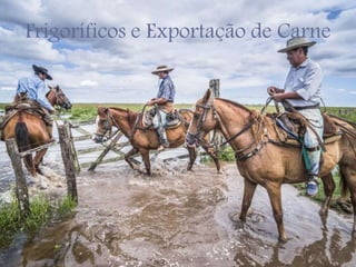 Frigoríficos e Exportação de Carne
 