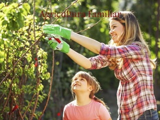 Agricultura Familiar
 