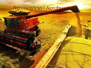 Agronegócio / Agrobussiness
 
