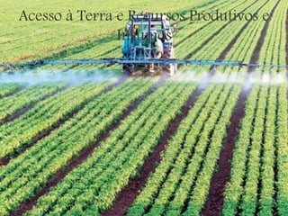 Acesso à Terra e Recursos Produtivos e
Insumos
 