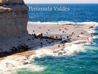 Península Valdés
 