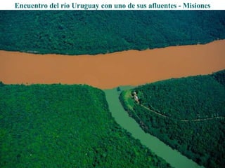 Encuentro del río Uruguay con uno de sus afluentes - Misiones