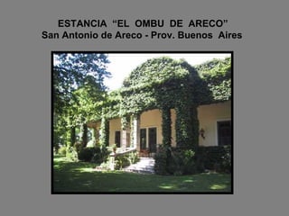 ESTANCIA  “EL  OMBU  DE  ARECO”   San Antonio de Areco - Prov. Buenos  Aires 
