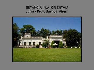 ESTANCIA  “LA  ORIENTAL”   Junín - Prov. Buenos  Aires 