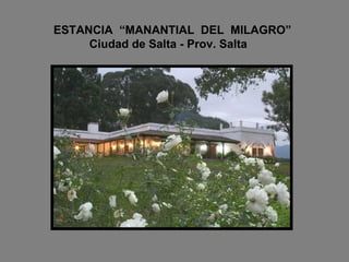 ESTANCIA  “MANANTIAL  DEL  MILAGRO”   Ciudad de Salta - Prov. Salta 
