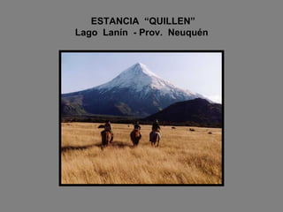 ESTANCIA  “QUILLEN”   Lago  Lanín  - Prov.  Neuquén 
