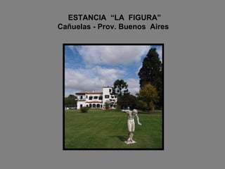 ESTANCIA  “LA  FIGURA”    Cañuelas - Prov. Buenos  Aires 
