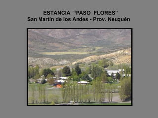ESTANCIA  “PASO  FLORES”   San Martín de los Andes - Prov. Neuquén 