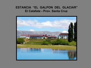 ESTANCIA  “EL  GALPON  DEL  GLACIAR”   El Calafate - Prov. Santa Cruz 
