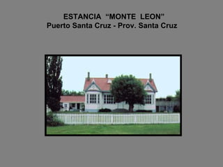 ESTANCIA  “MONTE  LEON”   Puerto Santa Cruz - Prov. Santa Cruz 