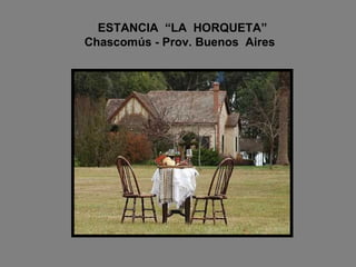 ESTANCIA  “LA  HORQUETA”   Chascom ús - Prov. Buenos  Aires 