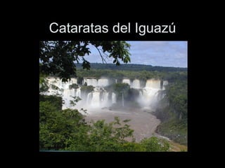 Cataratas del Iguaz ú 