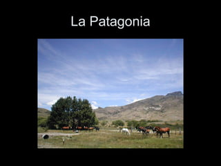 La Patagonia 