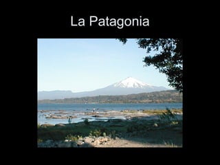 La Patagonia 