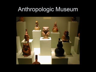 Anthropologic Museum 