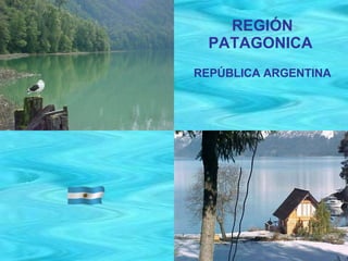 REGIÓN PATAGONICA   REPÚBLICA ARGENTINA 