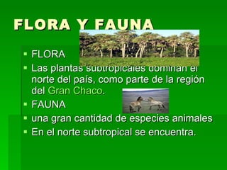 FLORA Y FAUNA FLORA Las plantas subtropicales dominan el norte del país, como parte de la región del  Gran Chaco .  FAUNA  una gran cantidad de especies animales  En el norte subtropical se encuentra. 