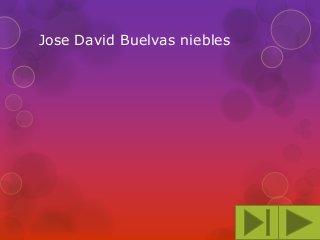 Jose David Buelvas niebles

 