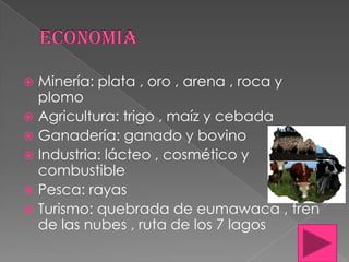 Minería: plata , oro , arena , roca y
plomo
 Agricultura: trigo , maíz y cebada
 Ganadería: ganado y bovino
 Industria: lácteo , cosmético y
combustible
 Pesca: rayas
 Turismo: quebrada de eumawaca , tren
de las nubes , ruta de los 7 lagos


 