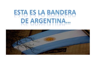 ESTA ES LA BANDERA DE ARGENTINA…