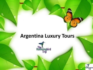 Argentina Luxury Tours
 