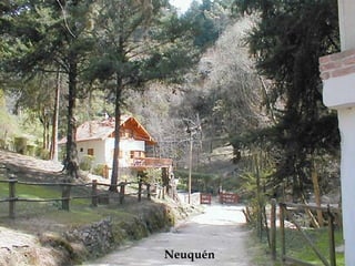 Neuquén 