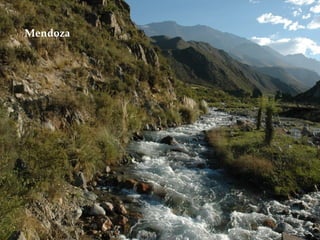 Mendoza 