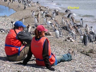 Chubut 