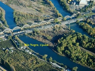 Río Negro ,  Cipoleti 