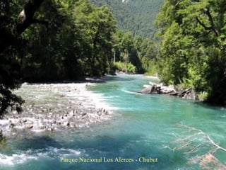 Parque Nacional Los Alerces - Chubut