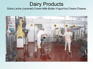 Dairy Products
Dulce Leche (caramel)-Cream-Milk-Butter-Yogurt-Ice Cream-Cheese
 