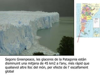 Segons Greenpeace, les glaceres de la Patagonia estàn disminuint una mitjana de 45 km2 a l’any, més ràpid que  qualsevol altre lloc del món, per efecte de l' escalfament global 