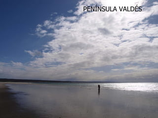 PENÍNSULA VALDÉS 